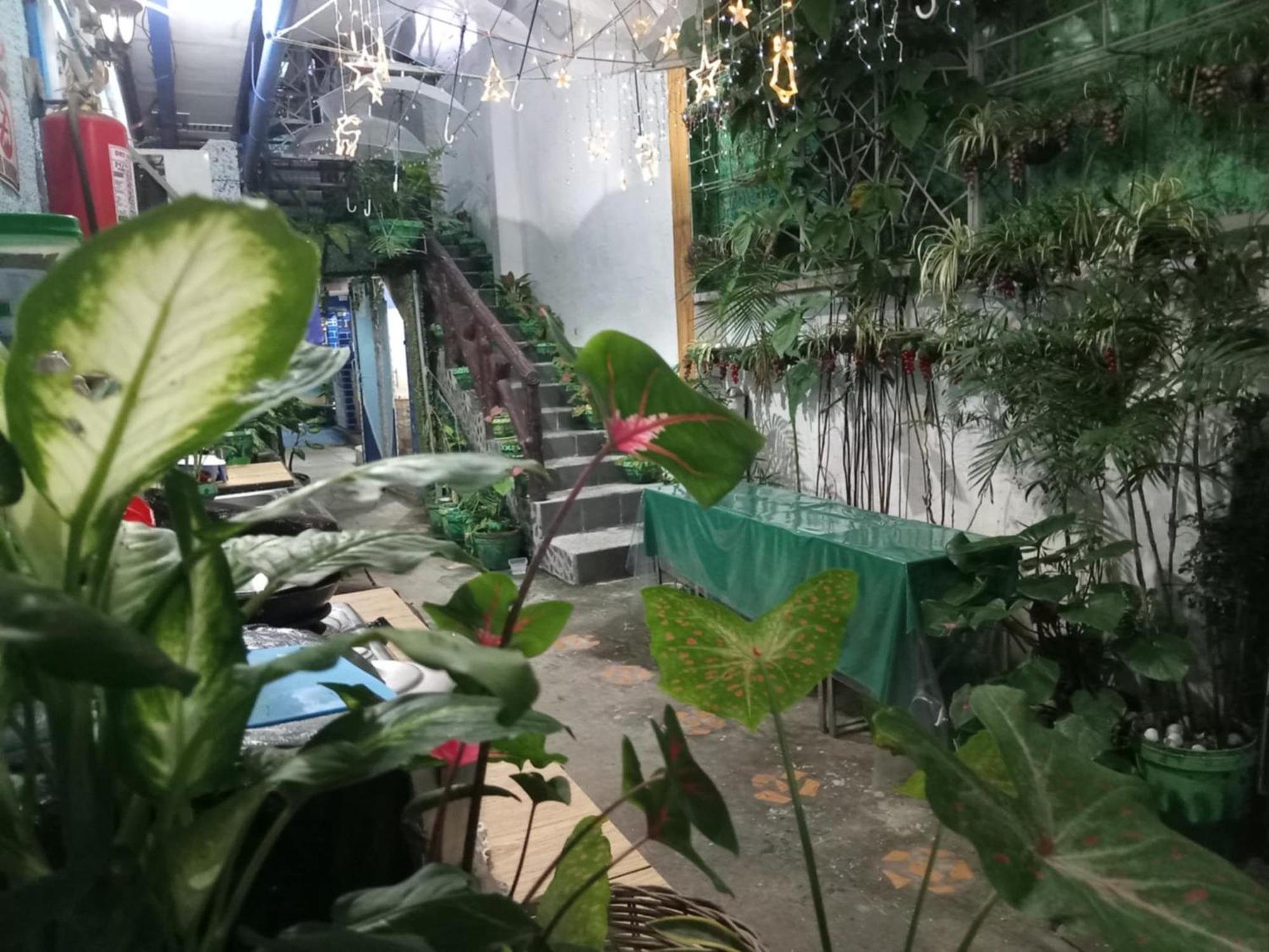 Daniela'S Place Angeles Ngoại thất bức ảnh